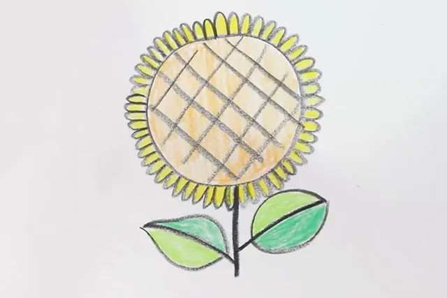 幼儿向日葵图片简笔画简单