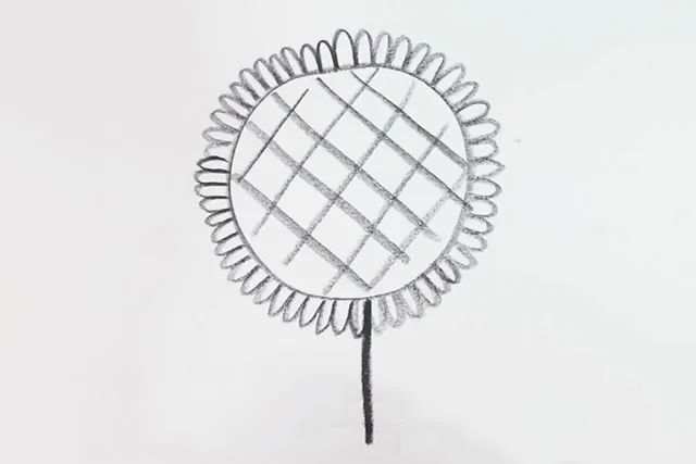 幼儿向日葵图片简笔画简单