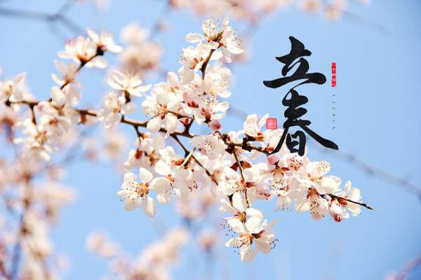 30首描写立春的经典古诗词