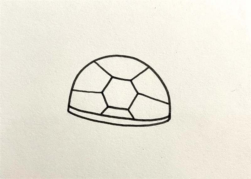 小乌龟简笔画怎么画简单好看