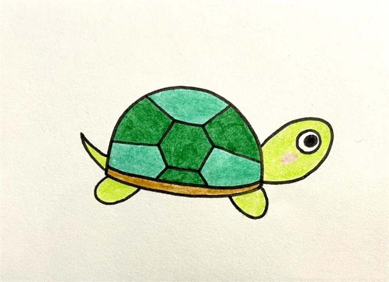 小乌龟简笔画怎么画简单好看