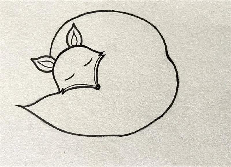 爱睡觉的狐狸简笔画图片教程简单又漂亮