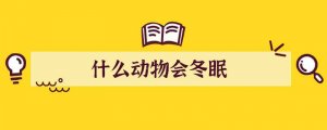 什么动物会冬眠
