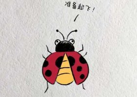 用字母A画七星瓢虫简笔画图片教程简单