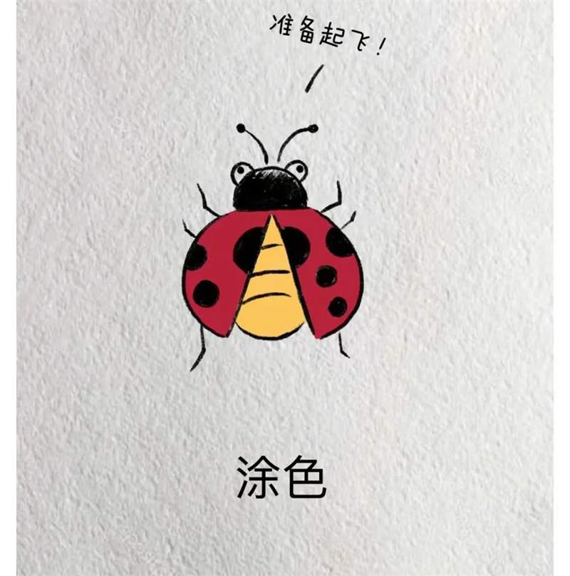 用字母A画七星瓢虫简笔画图片教程简单