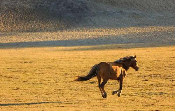 一马当先造句 用一马当先造句子
