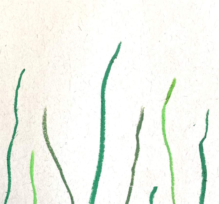 油画棒作品《春天里的油菜花》