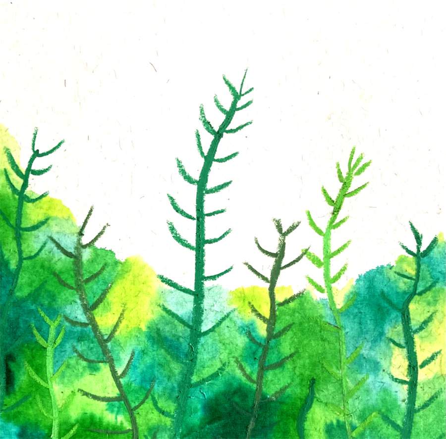 油画棒作品《春天里的油菜花》