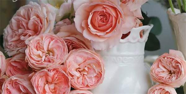 三八节独立且优雅的女神文案