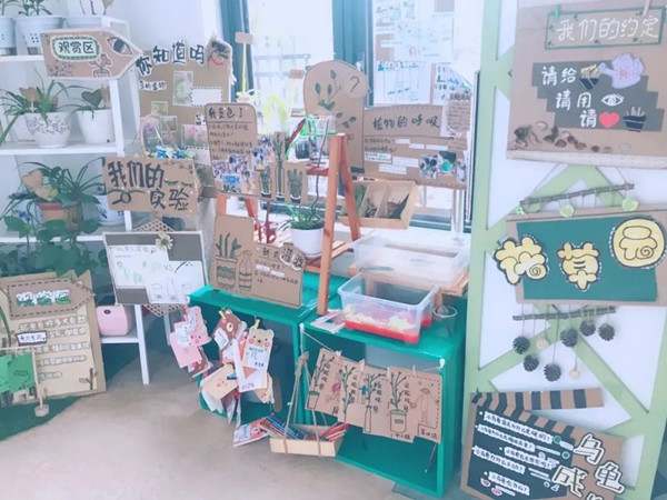 幼儿园3.12植树节活动方案，和孩子一起拥抱春天