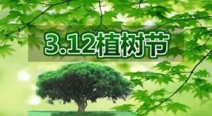 幼儿园3.12植树节活动方案，和孩子一起拥抱春天