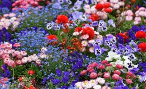 各种各样造句 用各种各样造句子