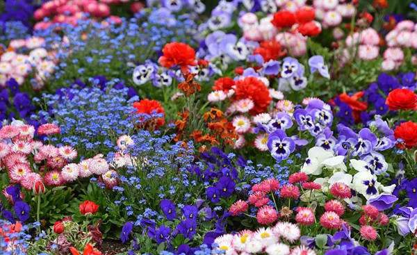 各种各样造句 用各种各样造句子