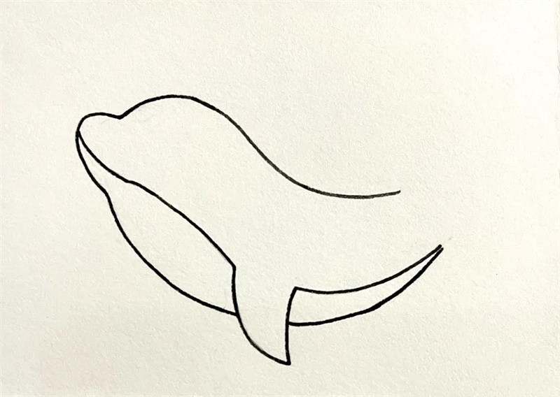 可爱的海豚简笔画图片教程