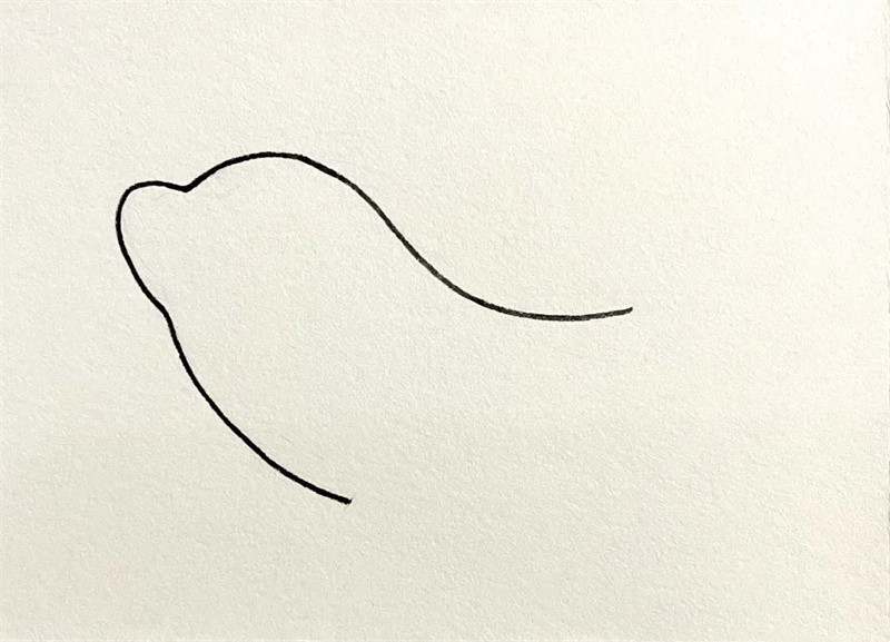 可爱的海豚简笔画图片教程