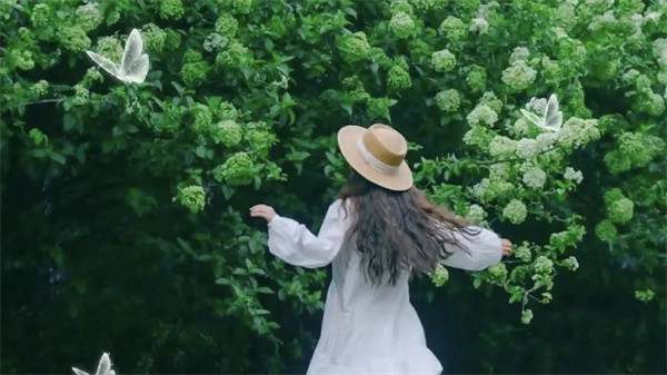 适合春天出游的快乐文案