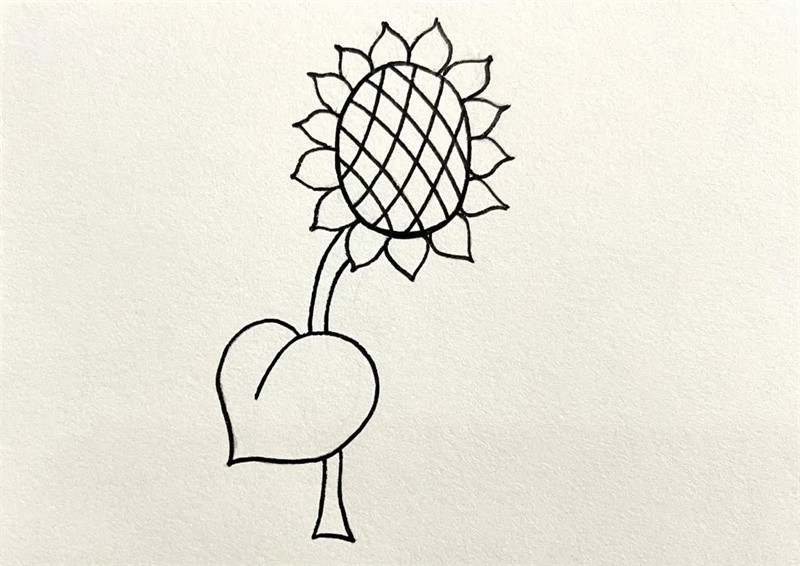 向着太阳的向日葵简笔画图片教程