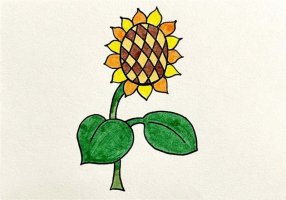 向着太阳的向日葵简笔画图片教程