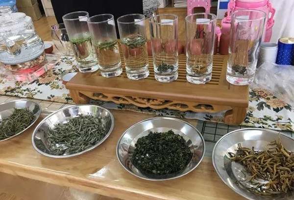 幼儿园中班社会教案 《茶》