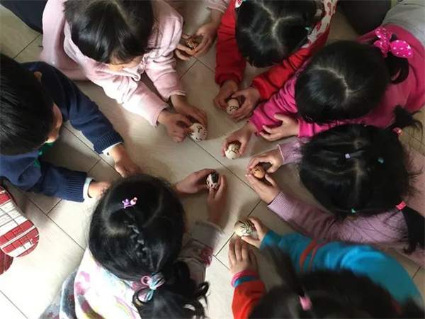 幼儿园春分主题教育活动方案，带孩子感受盎然春意