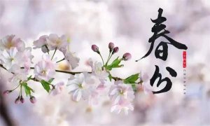 幼儿园春分主题教育活动方案，带孩子感受盎然