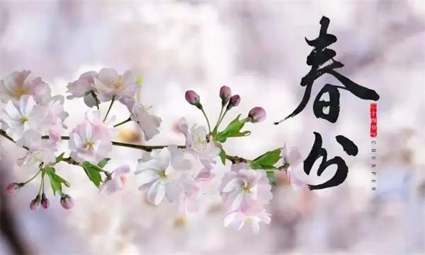 幼儿园春分主题教育活动方案，带孩子感受盎然春意