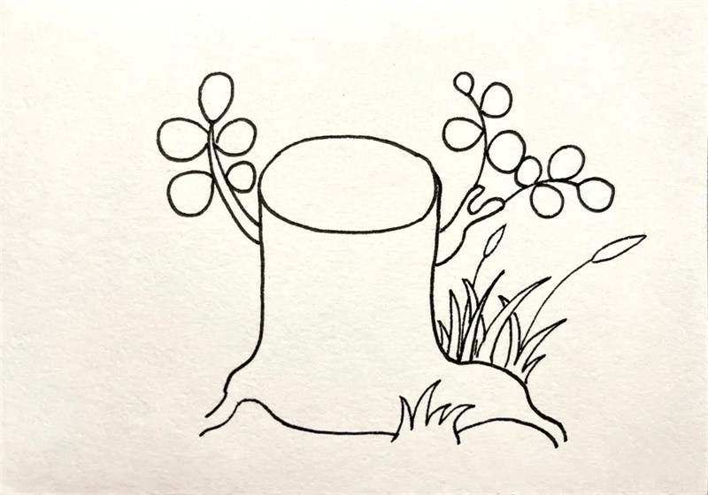 生机勃勃的树桩简笔画图片教程