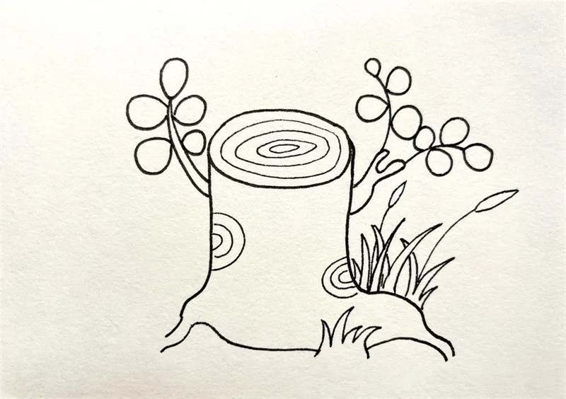 生机勃勃的树桩简笔画图片教程