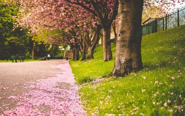 好的作文开头怎么写？好的作文开头就成功了一半
