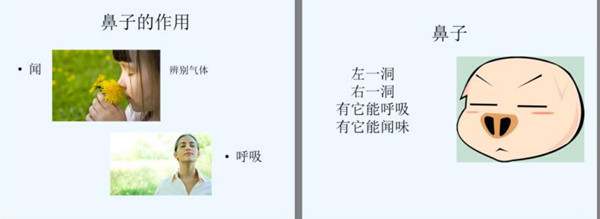 幼儿园中班健康活动教案《我的鼻子》