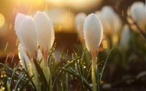 心理学书籍：我们每个人都要了解一些心理文学