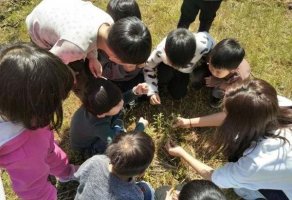 幼儿园小班优秀教案《生成活动“走进春天”》