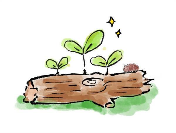 20个描写春天的四字成语