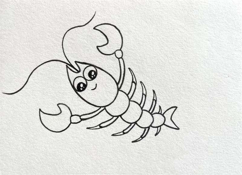 可爱的小龙虾简笔画图片教程简单