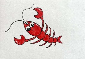 可爱的小龙虾简笔画图片教程简单
