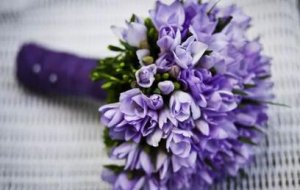 如何经营婚姻？7本书告诉你，经营婚姻和爱情也