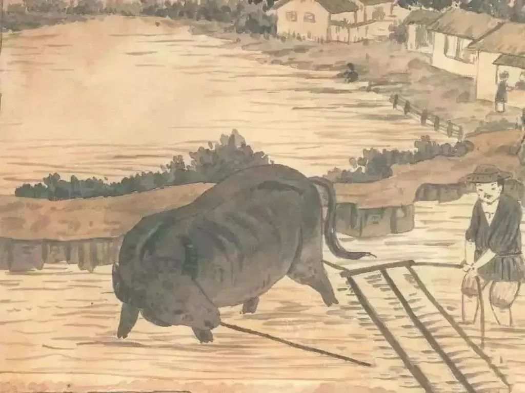 二十四节气旅行绘本《春分采春茶》