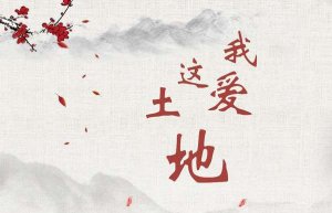 仿写我爱这土地（精选11篇）