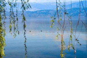 三个技巧融入春游作文，一起拥抱春日的浪漫