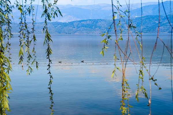 三个技巧融入春游作文，一起拥抱春日的浪漫