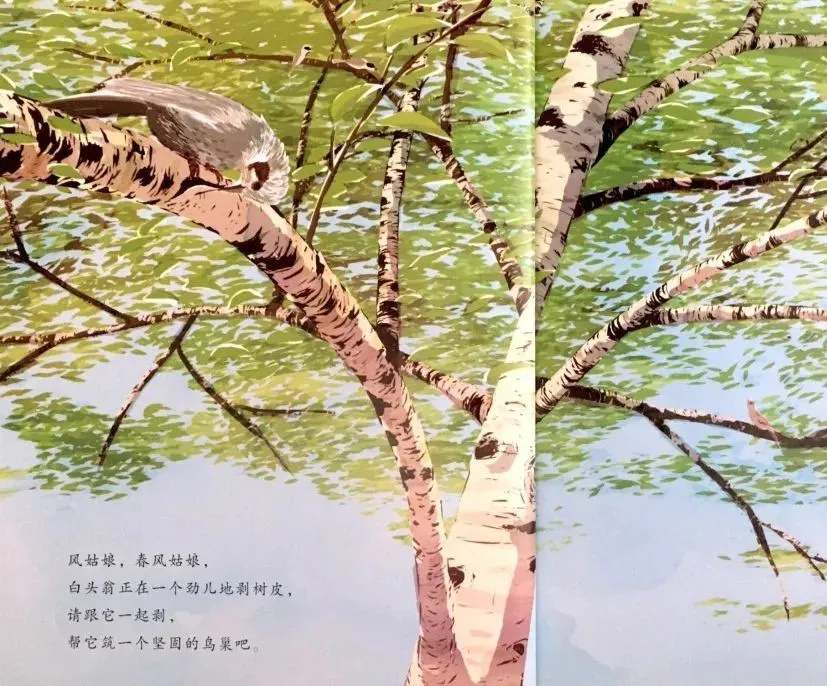 儿童绘本《风姑娘，春风姑娘》