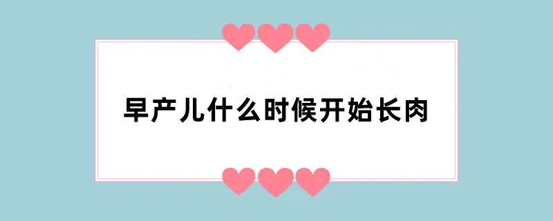 早产儿什么时候开始长肉