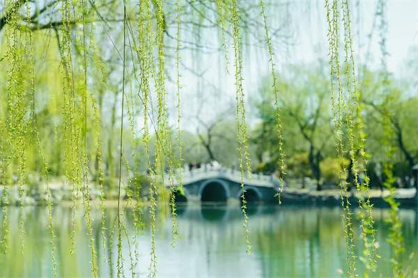 18个描写春天的成语，送你笔底春风