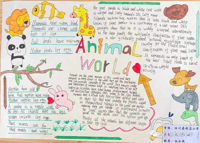 五年级英语手抄报图片精美