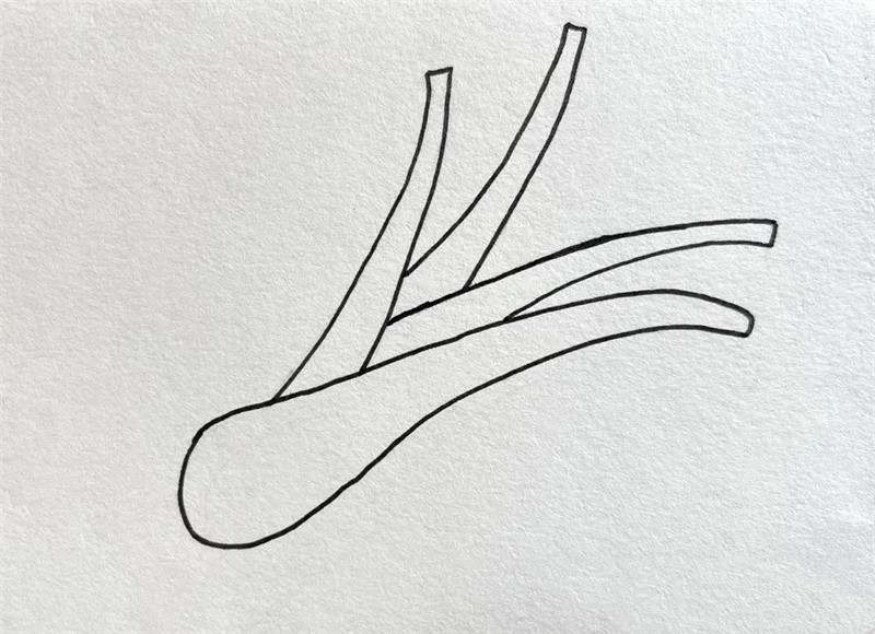 绿油油的大葱简笔画图片教程