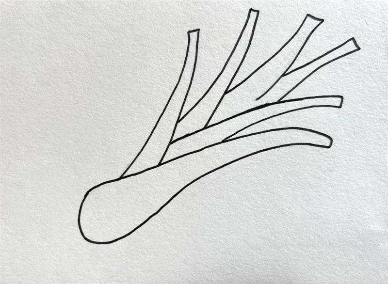 绿油油的大葱简笔画图片教程