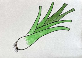 绿油油的大葱简笔画图片教程