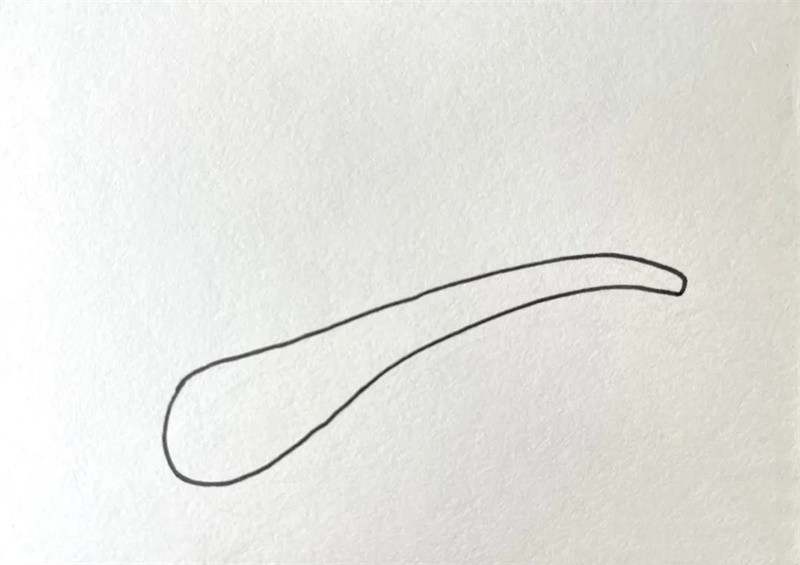 绿油油的大葱简笔画图片教程