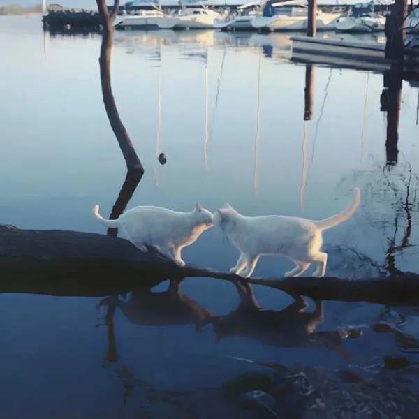 微信状态文案，挑一句去设置微信状态呗