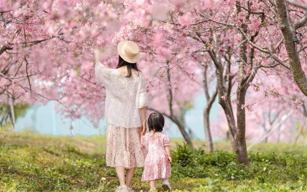 幼儿园2024年清明节放假通知及注意事项